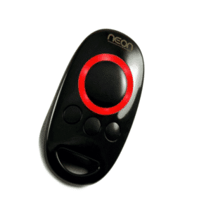 DTM NEON pilot do bramy 1+3 przyciskowy